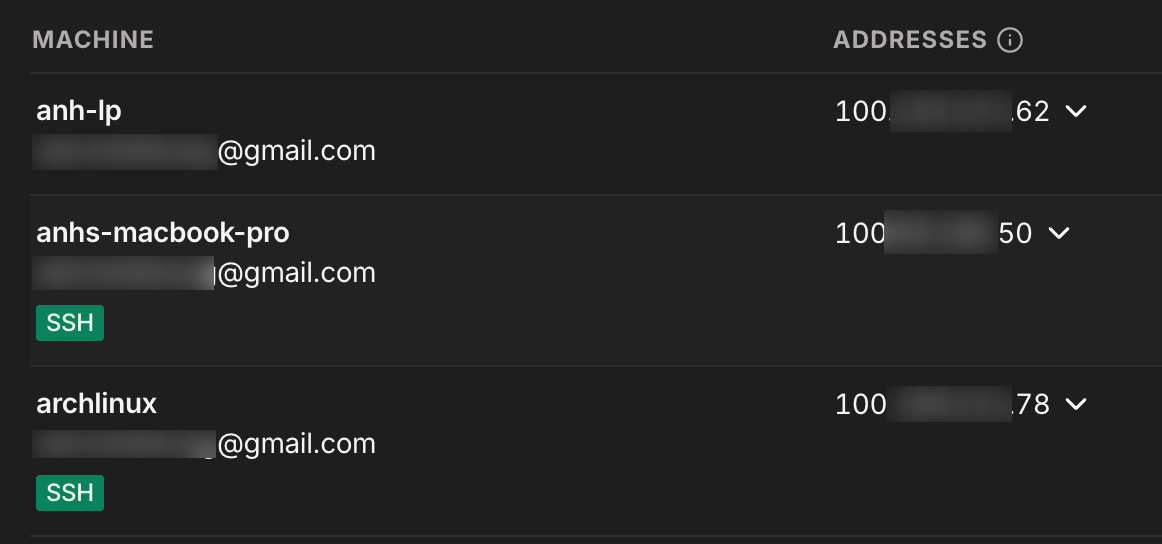 Tailscale admin console machine list with green SSH badges next to anhs-macbook-pro and archlinux